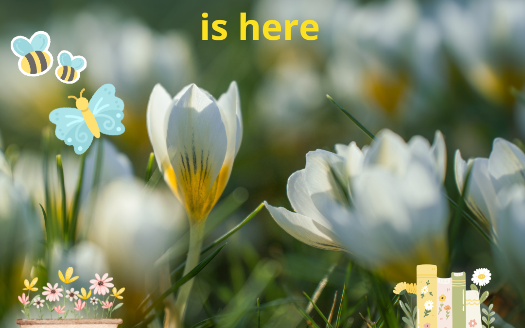 Spring Newsletter 2026